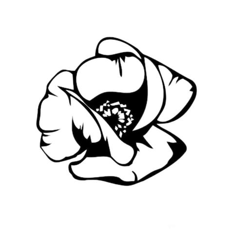 Flower Queen цветы букеты Тамбов On Threads