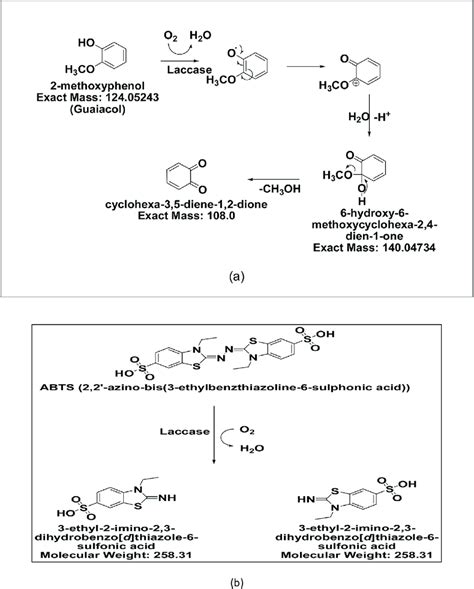 Plausible Mechanism Of Laccase Enzyme A Interaction With Guaiacol