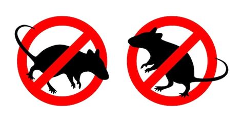 Premium Vector No Mouse Sign Pest Danger Warning Sign Anti Pest