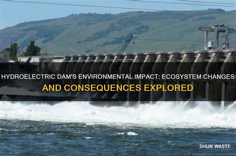 hydroelectric dams environmental impact ecosystem
