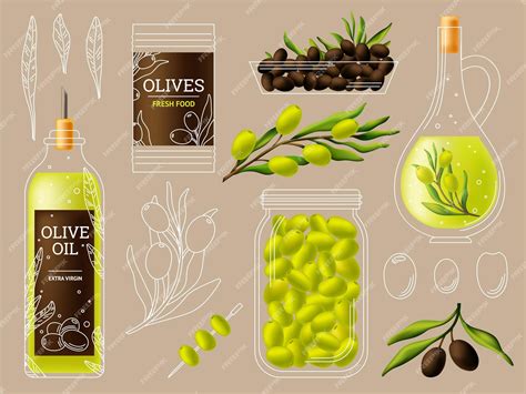 Оливковые продукты и ветви деревьев масло и спелые оливки для ...
