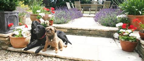 Dog Friendly Cotswolds - Places to stay, attractions and other dog ...