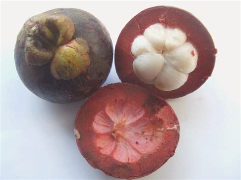 Garcinia Cambogia Extract: Latest Researched Review Uncovers The Truth Of Why Not Everyone Is ...