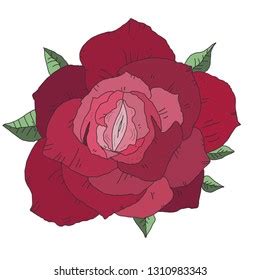 4 191 Pink Vagina Images Stock Photos Vectors Shutterstock