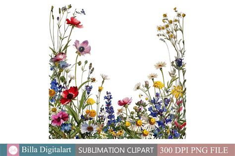 Free Wild Flowers Floral Border Clipart Graphic by BillaDigitalart ...