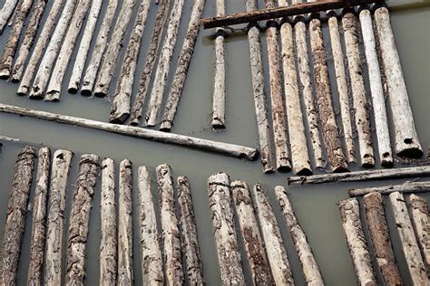 Linking Logs Stock Photos Pictures And Royalty Free Images Istock