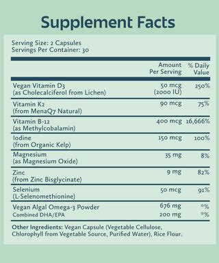 Foundations Plant-Powered Vegan Multivitamin – Future Kind