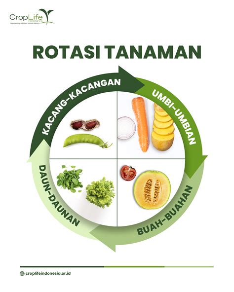 Pentingnya Rotasi Tanaman Croplife Indonesia