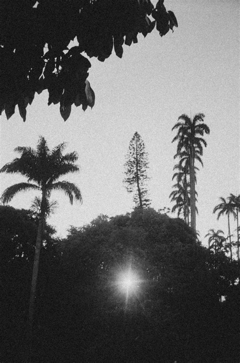 Casebook Porn Pictures XXX Photos Sex Images PICTOA