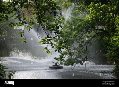 Lake. Zoological Garden, Alipore, Kolkata, West Bengal, India Stock ...