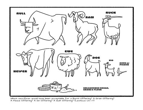 Coloring Book Sacrifices And Offerings