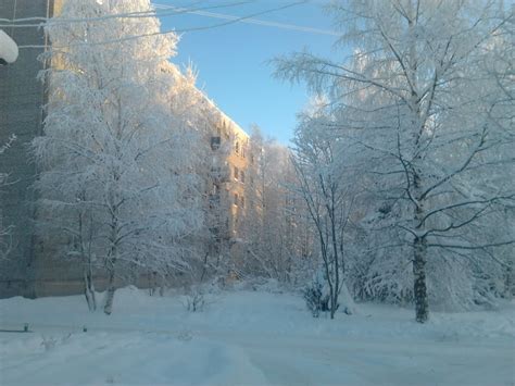 Фото лоухи в городе Лоухи