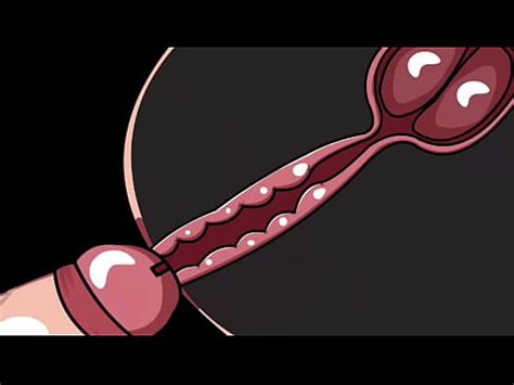 Eyaculacion Interna Animacion XVIDEOS