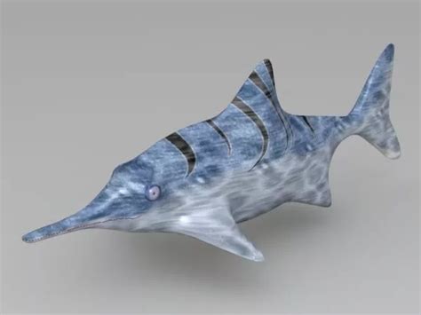 Ichthyosaur Stenopterygius Free 3d Model 3ds Max Obj Vray