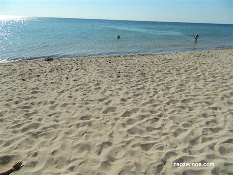 Дикий пляж | Заозерное, Евпатория, Крым. Пансионаты, квартиры, частный ...