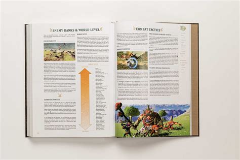 Tears Of The Kingdom Guide Book Piggyback