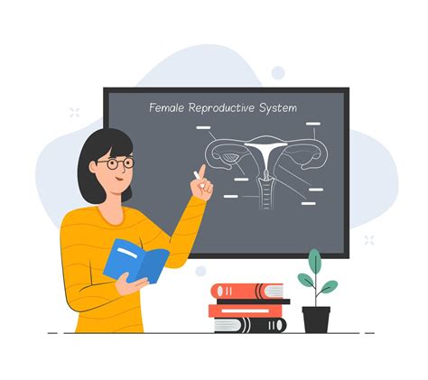 Teacher Giving A Biology Lesson Sex Education In School Concept Vector Art At Vecteezy
