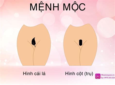 Tri T Bikini T O H Nh C C Ki U M U Tri T Bikini T O H Nh M I Nh T Spa L M P Th M M Sen