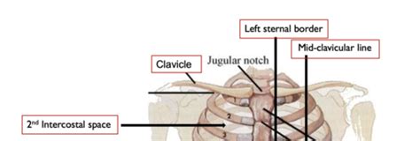 Pulmonary Assessment Flashcards Quizlet