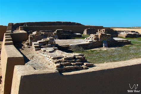 Otrar » WildTicket Asia - Tourist Service in Kazakhstan