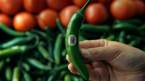 Es Deliciosa Conoce La Nueva Whopper Serrano De Burger King