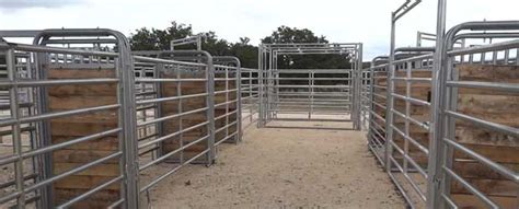 Roping Arena Layouts Rodeo Equipment Red River Arenas