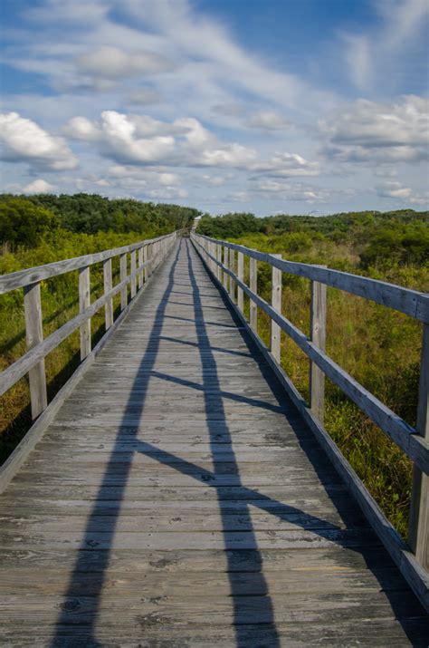 Mike O'Shell Photography — Virginia Beach Landscape Photography