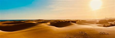 Dutch Gay 11k Dutchmguy87 Twitter