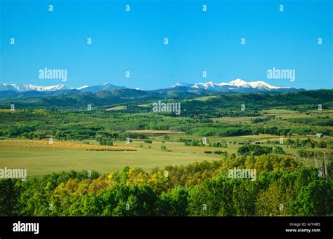 Cattle Ranch In Foothills Of Rocky Mountains Hi Res Stock Photography