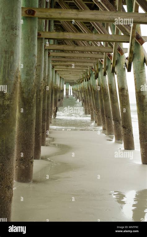 fishing pier  beach stock photo alamy