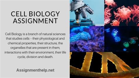 Cell Biology Assignment Help Online Biology Tutors Cell Biology Tutorials