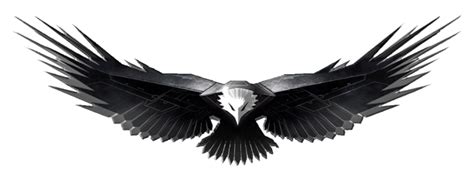 Black Eagle Logo Digital Art Design Clipart Png All