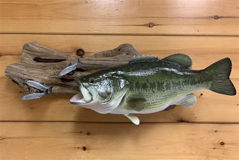 largemouth bass coat rack bass hat rack largemouth bass metal art