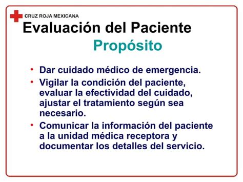 Capítulo 09 Evaluación Del Paciente Ppt Descarga Gratuita