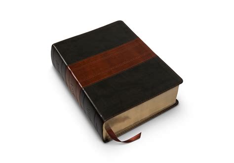 ESV Study Bible, Large Print (TruTone, Forest/Tan, Trail Design