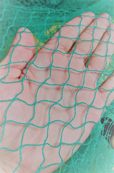 easynets Anti Butterfly Netting 2m Wide (2m x 5m) Free P&P : Amazon.co