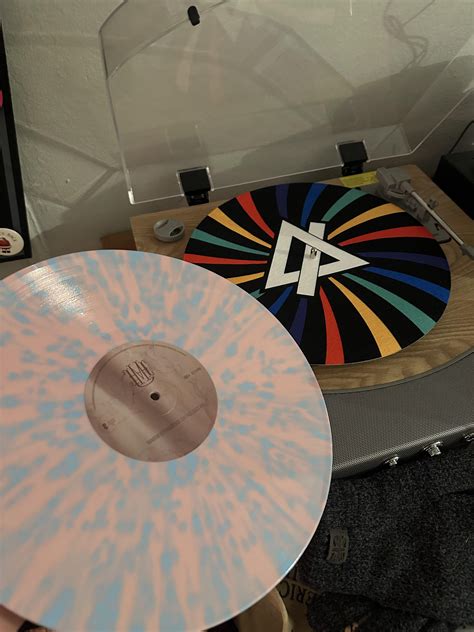 Gay R RainbowKittenSurprise