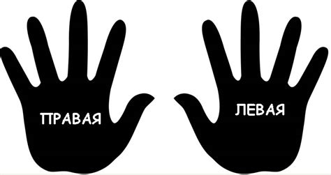 Где лево, где право (картинки и задания)