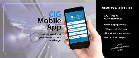 Personal Commercial And Agriculture Capital Insurance Group
