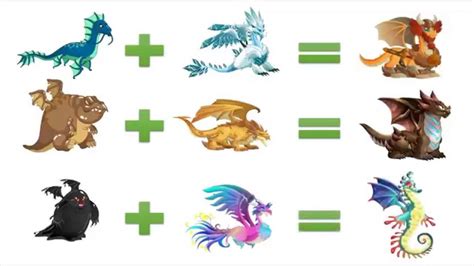 Dragon City Mediavida