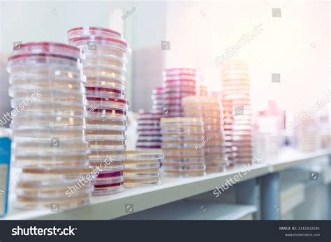 plate images stock  vectors shutterstock