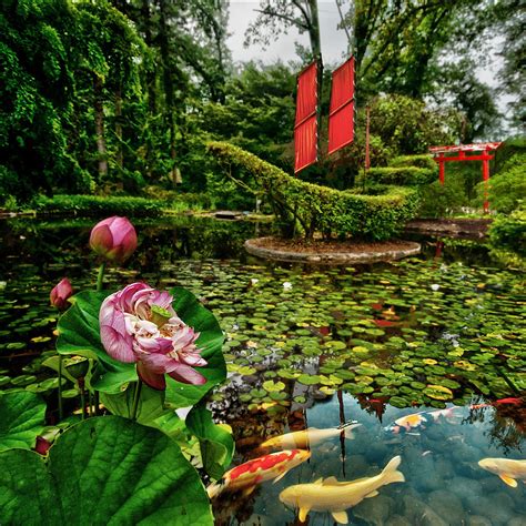 15 Beautiful Places in Maryland You Didn't Know Existed | Viajes