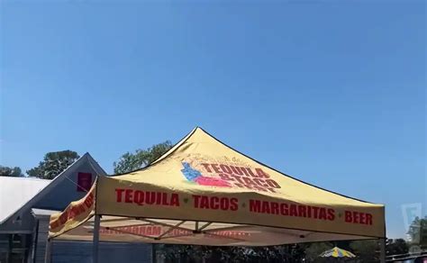 Tacos And Tequila Festival T I Timbaland Chingy Trick Daddy In