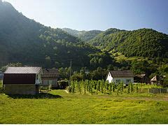 Category:Protyven - Wikimedia Commons