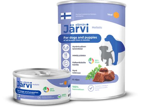jarvi