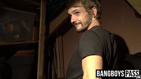 Free Hairy Studs Gay Porn Videos XHamster