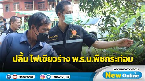 สัณหพจน์ปลื้มสภาฯ ไฟเขียวร่าง พรบพืชกระท่อม