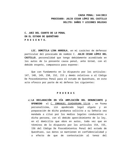 Docx Escrito De Ofrecimiento De Pruebas En Proceso Penal Dokumen Tips