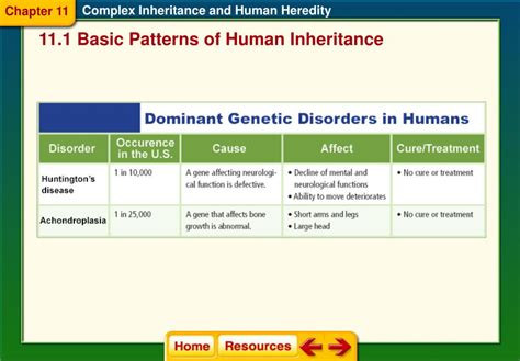 Ppt Section 1 Basic Patterns Of Human Inheritance Powerpoint Presentation Id1734439