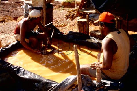 Pranes Guerrilleros Y Sangre En Tumeremo SOS Orinoco